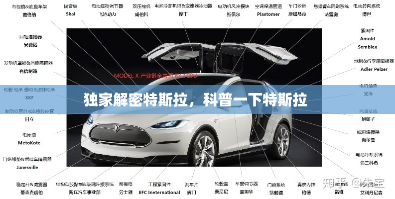独家解密特斯拉,科普一下特斯拉