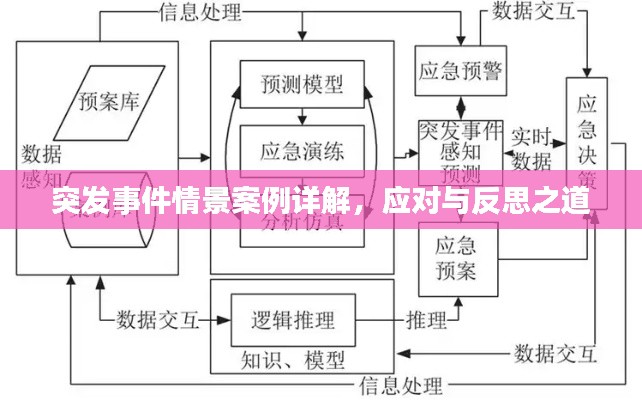 突发事件情景案例详解，应对与反思之道