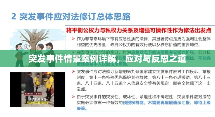 突发事件情景案例详解,应对与反思之道