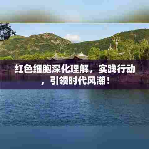 红色细胞深化理解，实践行动，引领时代风潮！