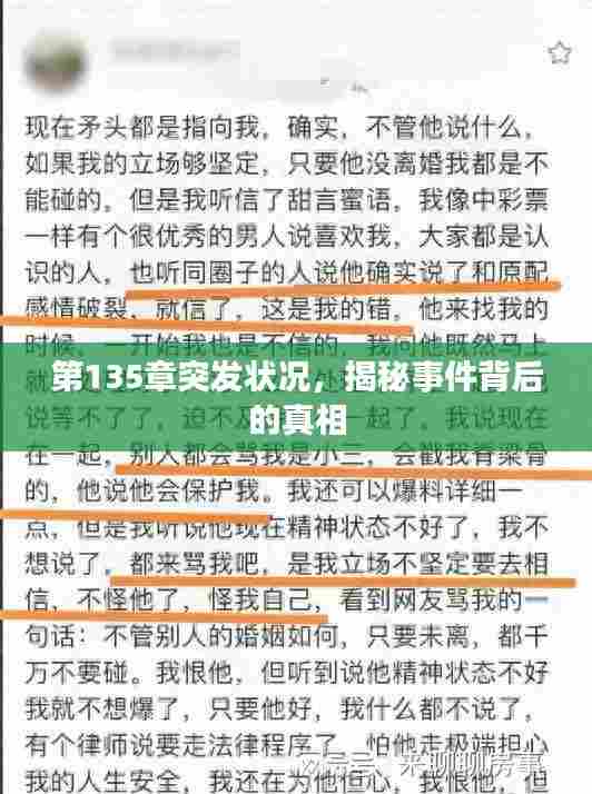 第135章突发状况,揭秘事件背后的真相