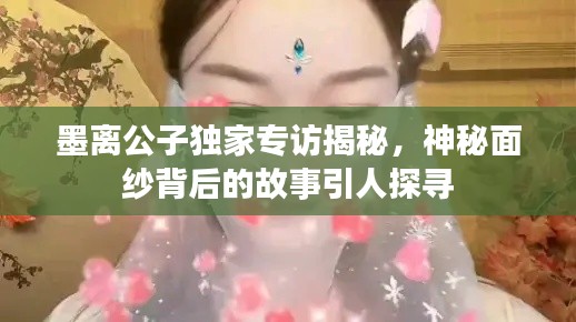 墨离公子独家专访揭秘，神秘面纱背后的故事引人探寻