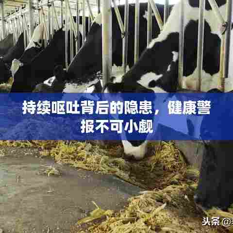 持续呕吐背后的隐患,健康警报不可小觑