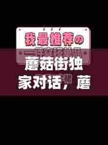 蘑菇街独家对话,蘑菇街总有高手帮你挑