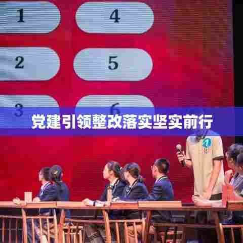 党建引领整改落实坚实前行