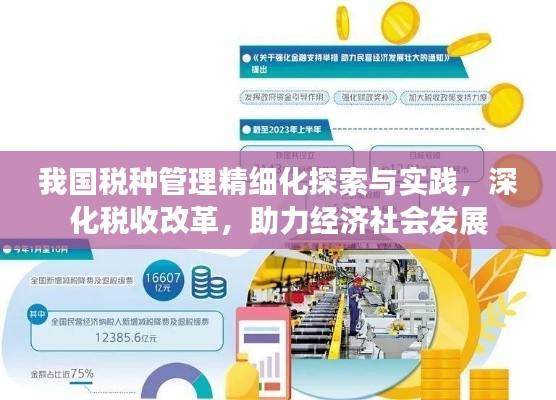 我国税种管理精细化探索与实践，深化税收改革，助力经济社会发展