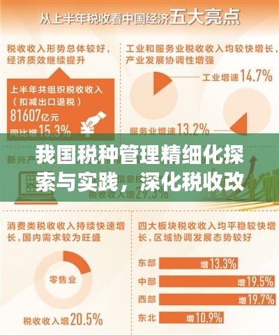我国税种管理精细化探索与实践,深化税收改革,助力经济社会发展