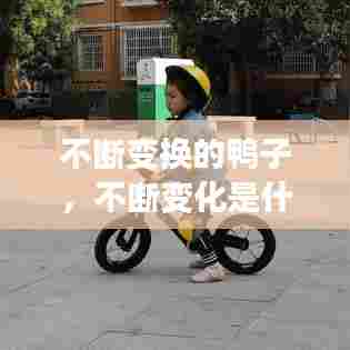 不断变换的鸭子，不断变化是什么意思 