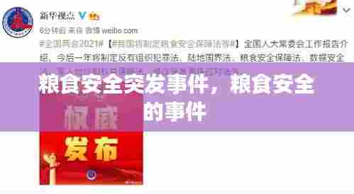 粮食安全突发事件，粮食安全的事件 