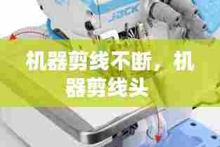 斗志昂扬 第6页