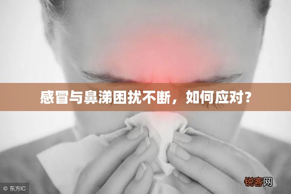 感冒与鼻涕困扰不断，如何应对？