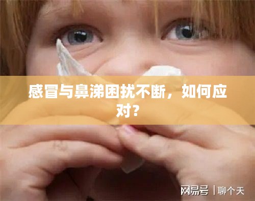 感冒与鼻涕困扰不断,如何应对?