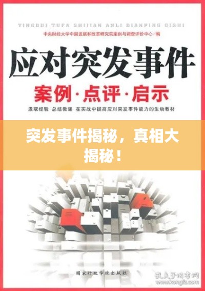 突发事件揭秘，真相大揭秘！
