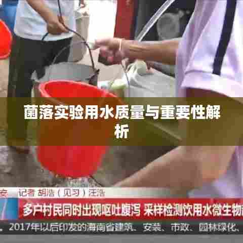 菌落实验用水质量与重要性解析