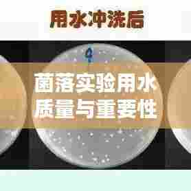 菌落实验用水质量与重要性解析