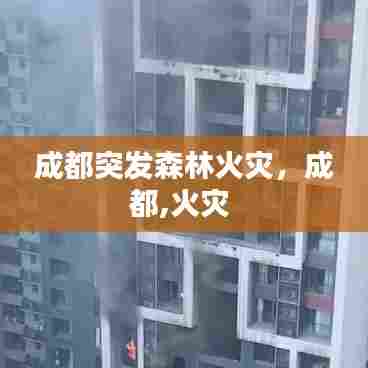 成都突发森林火灾，成都,火灾 