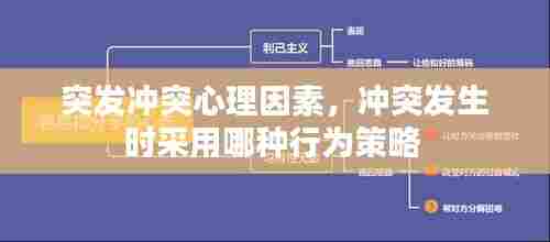 突发冲突心理因素,冲突发生时采用哪种行为策略