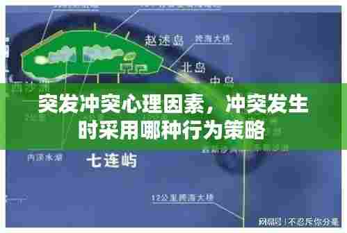 突发冲突心理因素，冲突发生时采用哪种行为策略 