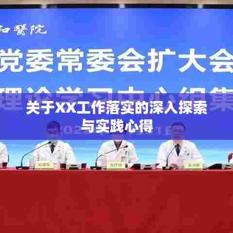 关于XX工作落实的深入探索与实践心得