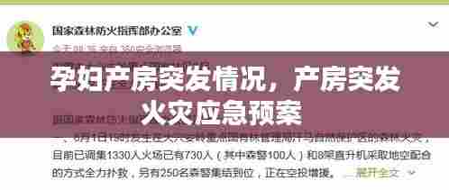 孕妇产房突发情况，产房突发火灾应急预案 