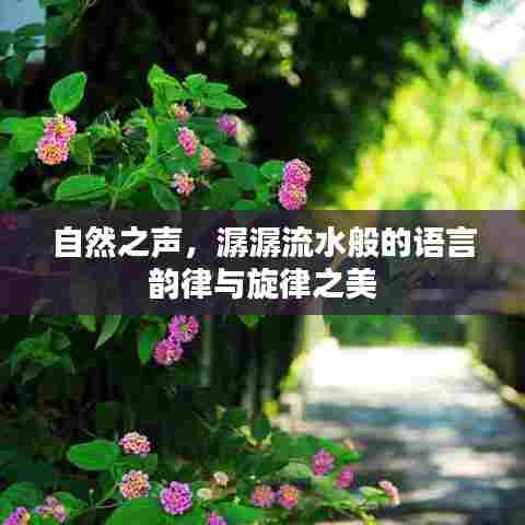 自然之声，潺潺流水般的语言韵律与旋律之美