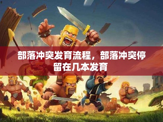 部落冲突发育流程，部落冲突停留在几本发育 