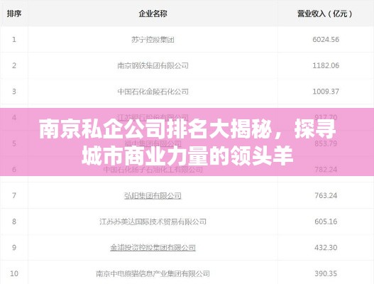南京私企公司排名大揭秘,探寻城市商业力量的领头羊