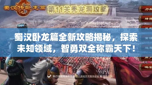 蜀汉卧龙篇全新攻略揭秘,探索未知领域,智勇双全称霸天下!
