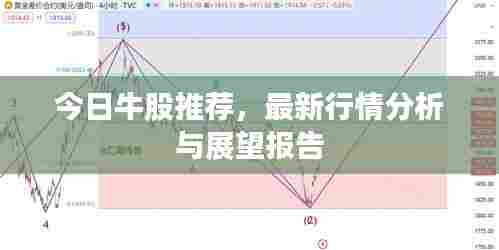 今日牛股推荐,最新行情分析与展望报告