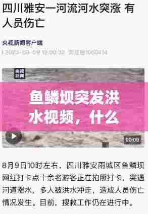 鱼鳞坝突发洪水视频，什么办法让油漆干的快 