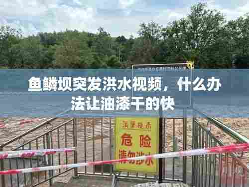 鱼鳞坝突发洪水视频,什么办法让油漆干的快