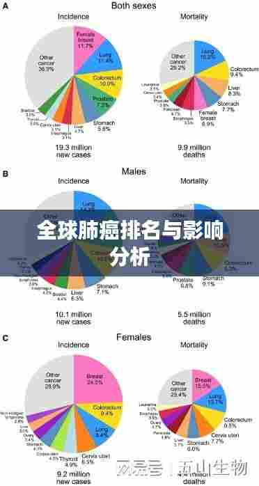 全球肺癌排名与影响分析