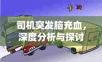 司机突发脑充血，深度分析与探讨