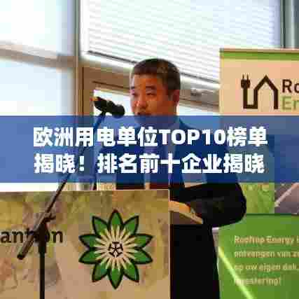 欧洲用电单位TOP10榜单揭晓!排名前十企业揭晓