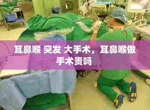 耳鼻喉 突发 大手术，耳鼻喉做手术贵吗 