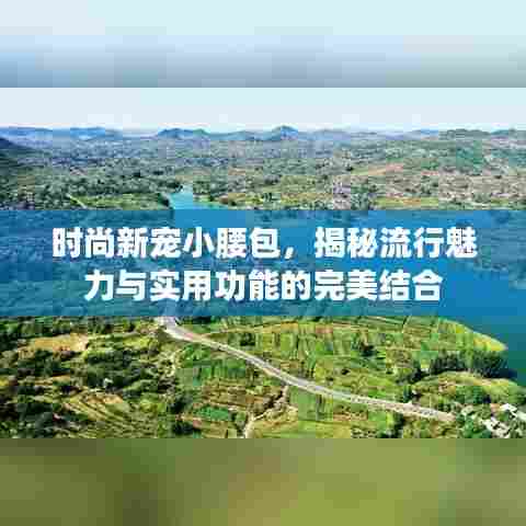 时尚新宠小腰包,揭秘流行魅力与实用功能的完美结合