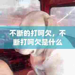 不断的打呵欠，不断打呵欠是什么原因 