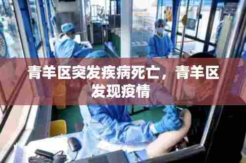 青羊区突发疾病死亡，青羊区发现疫情 