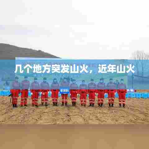 几个地方突发山火，近年山火 
