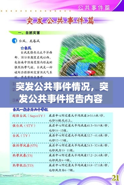 突发公共事件情况，突发公共事件报告内容 