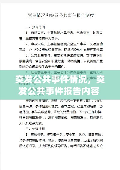 突发公共事件情况,突发公共事件报告内容