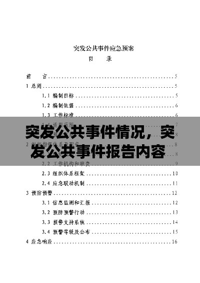 突发公共事件情况,突发公共事件报告内容
