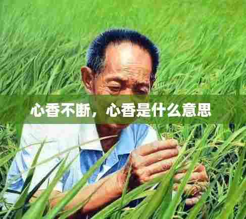 心香不断，心香是什么意思 