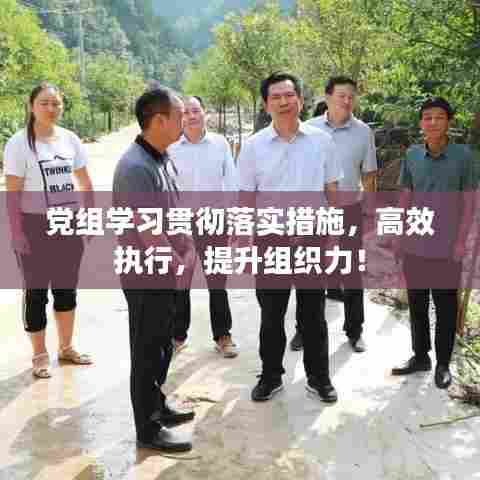党组学习贯彻落实措施，高效执行，提升组织力！