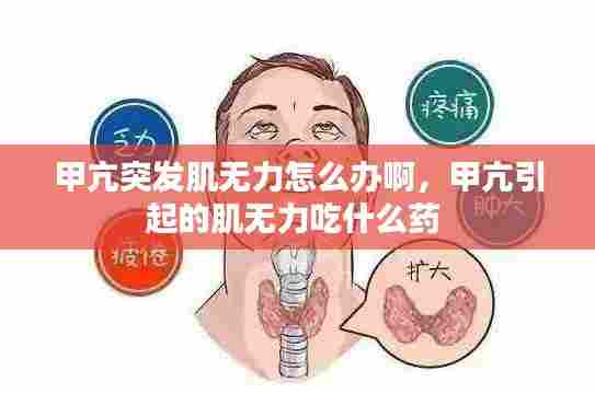 甲亢突发肌无力怎么办啊,甲亢引起的肌无力吃什么药