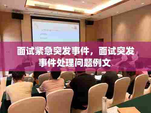 面试紧急突发事件，面试突发事件处理问题例文 
