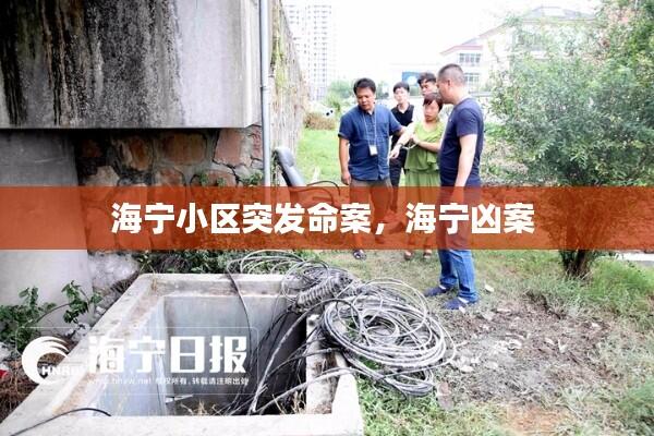 海宁小区突发命案，海宁凶案 