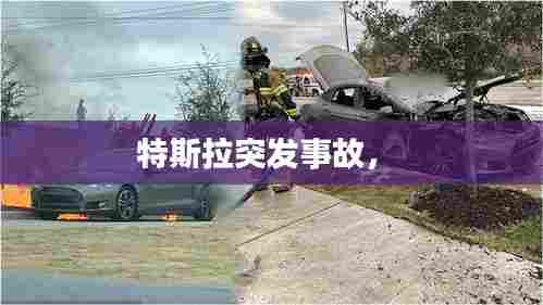 特斯拉突发事故， 