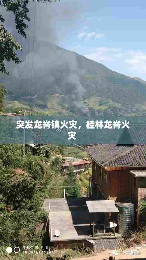 突发龙脊镇火灾,桂林龙脊火灾