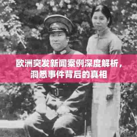 欧洲突发新闻案例深度解析,洞悉事件背后的真相